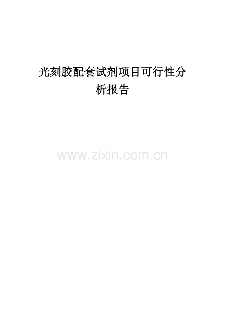 光刻胶配套试剂项目可行性分析报告.docx_第1页