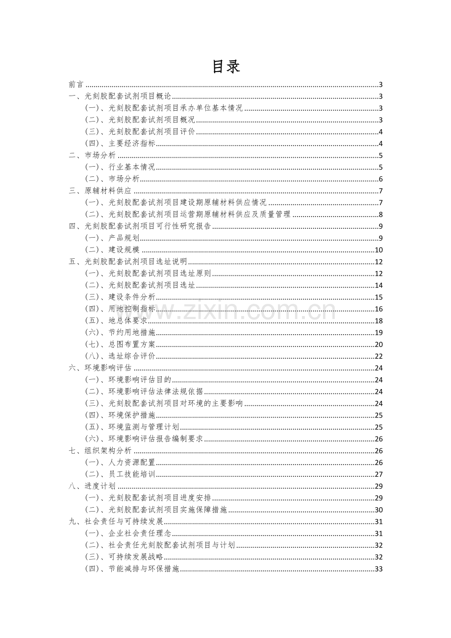 光刻胶配套试剂项目可行性分析报告.docx_第2页