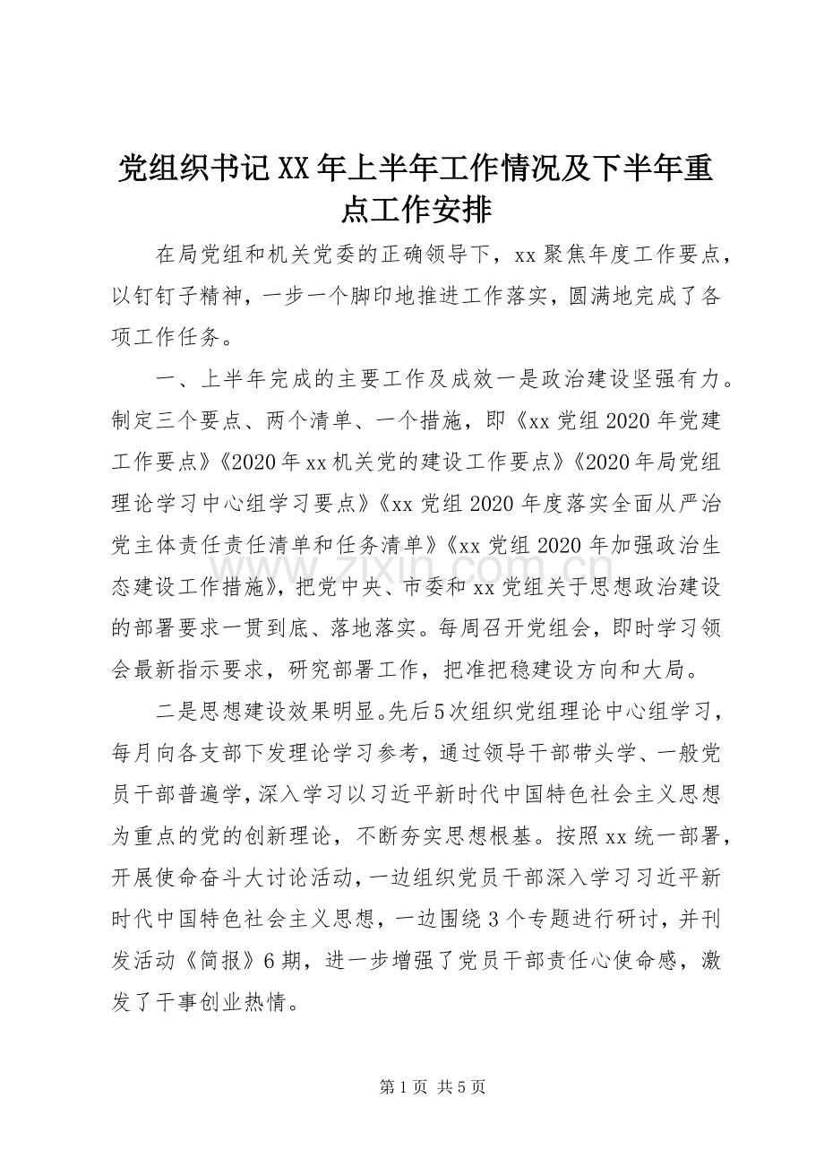 党组织书记XX年上半年工作情况及下半年重点工作安排.docx_第1页