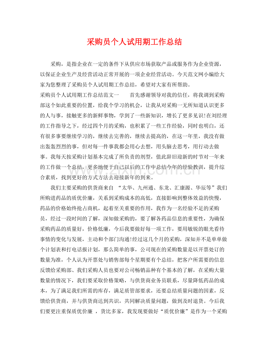 采购员个人试用期工作总结 .docx_第1页