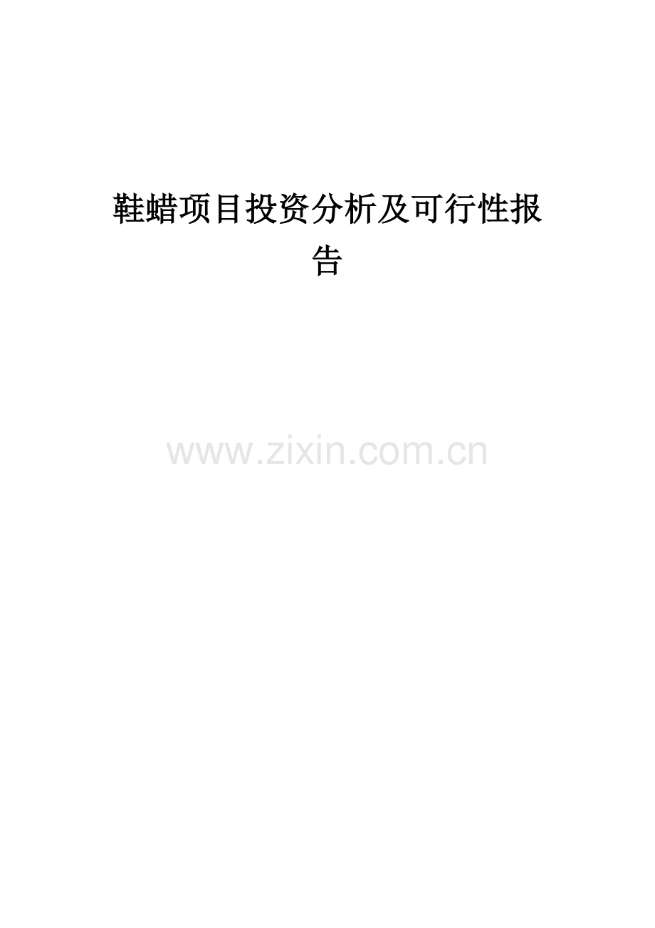 鞋蜡项目投资分析及可行性报告.docx_第1页