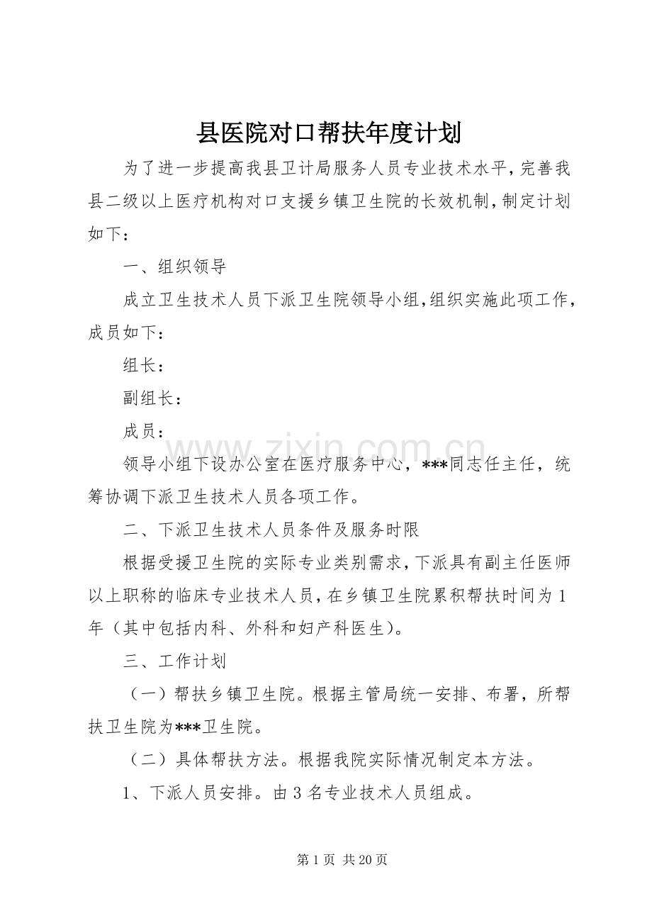 县医院对口帮扶年度计划.docx_第1页