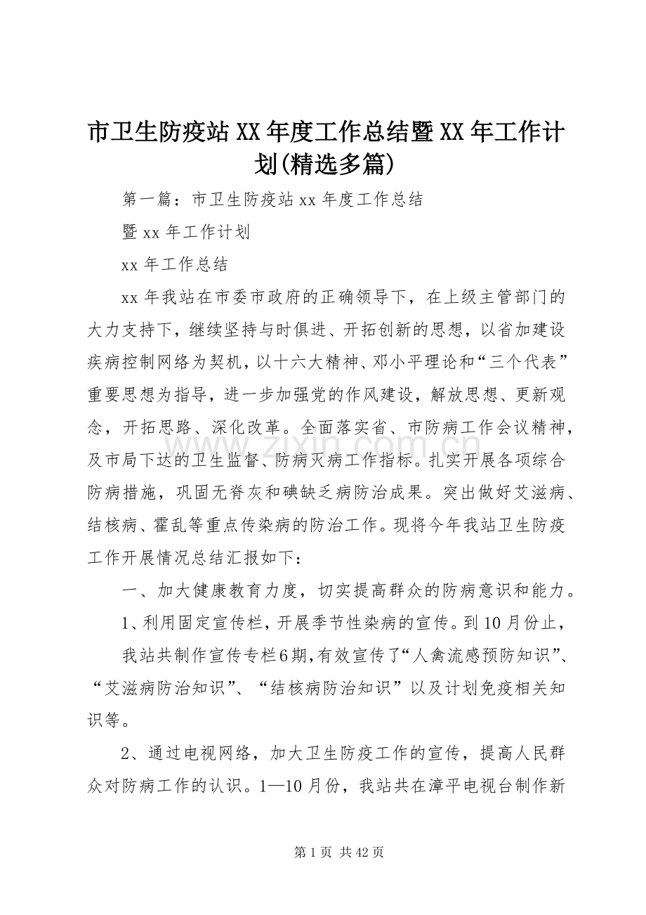 市卫生防疫站XX年度工作总结暨XX年工作计划(多篇).docx_第1页