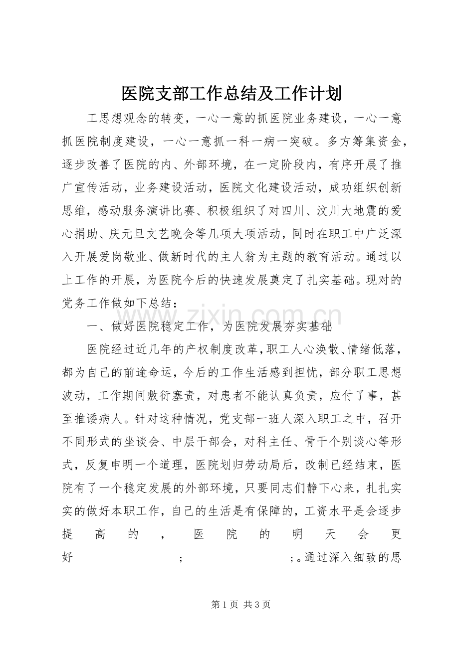 医院支部工作总结及工作计划.docx_第1页