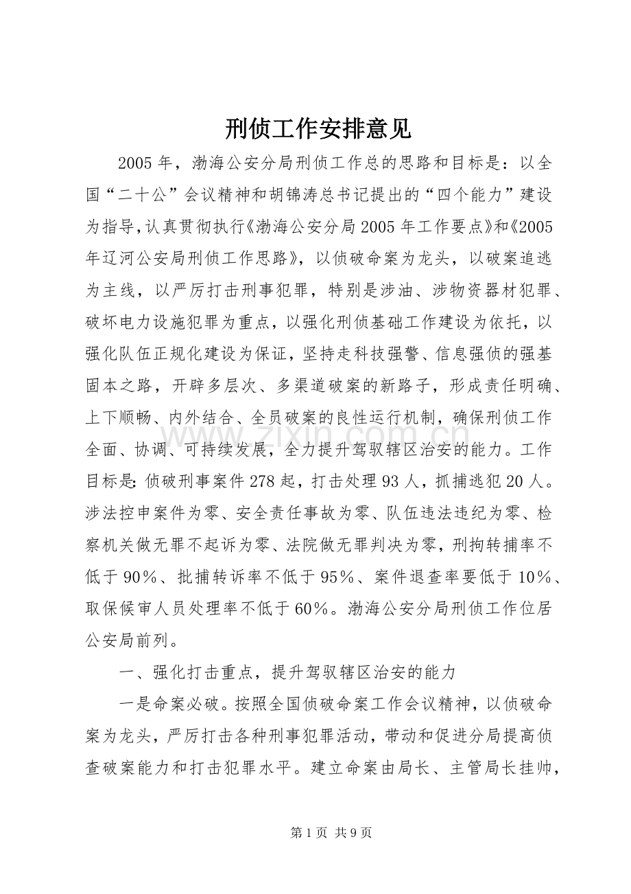 刑侦工作安排意见 .docx_第1页