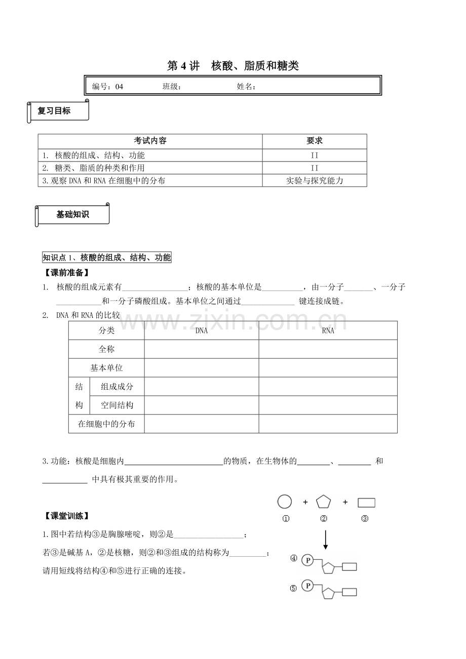 第4讲核酸脂质糖类.doc_第1页