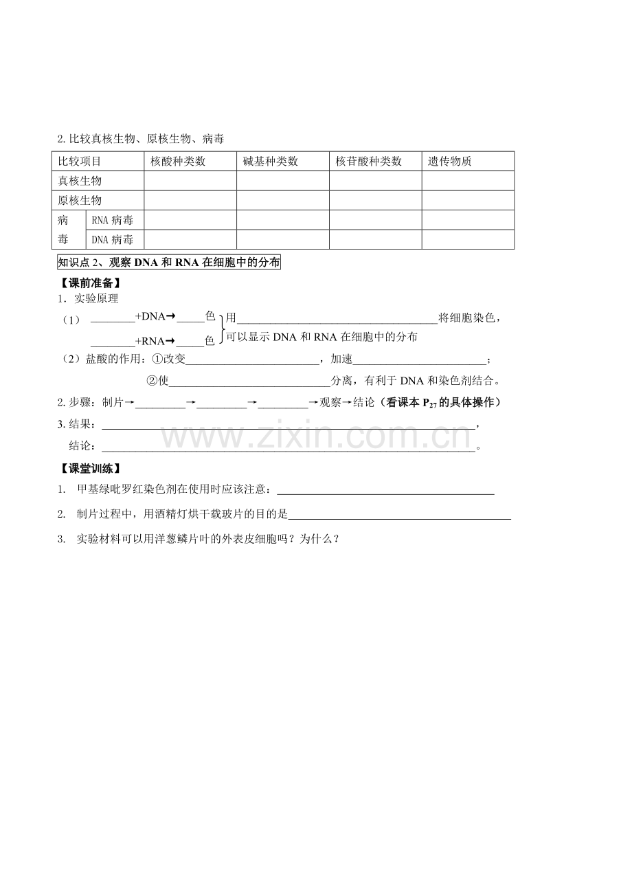 第4讲核酸脂质糖类.doc_第2页