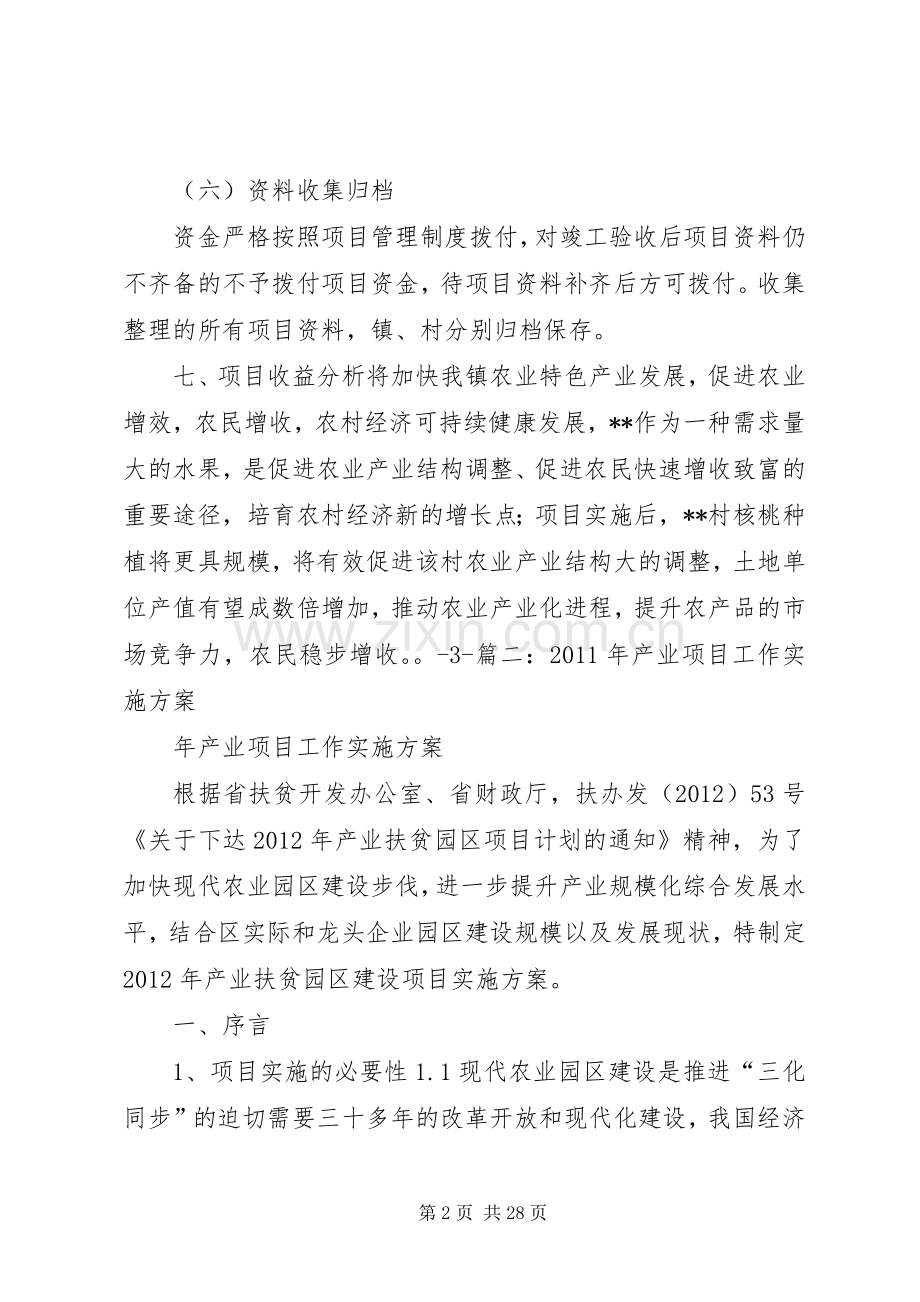 产业规划实施方案.docx_第2页