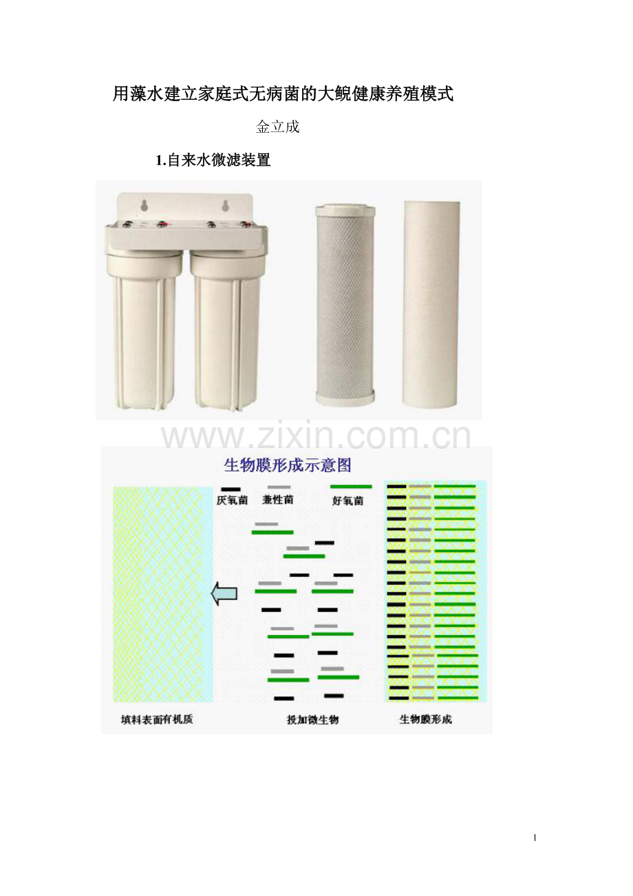 用藻水建立家庭式无病菌的大鲵健康养殖模式.doc_第1页