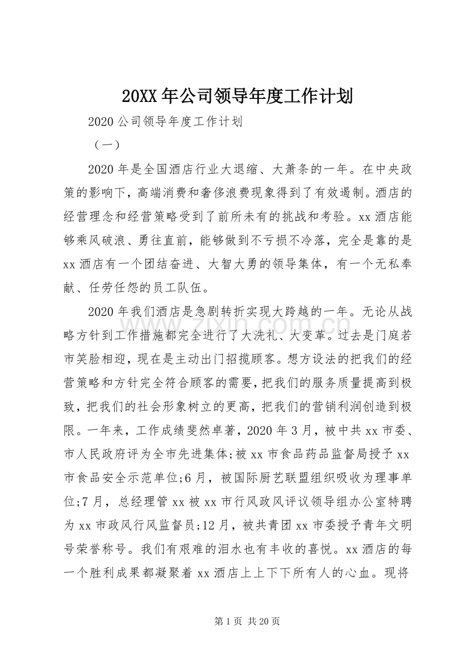 20XX年公司领导年度工作计划.docx_第1页