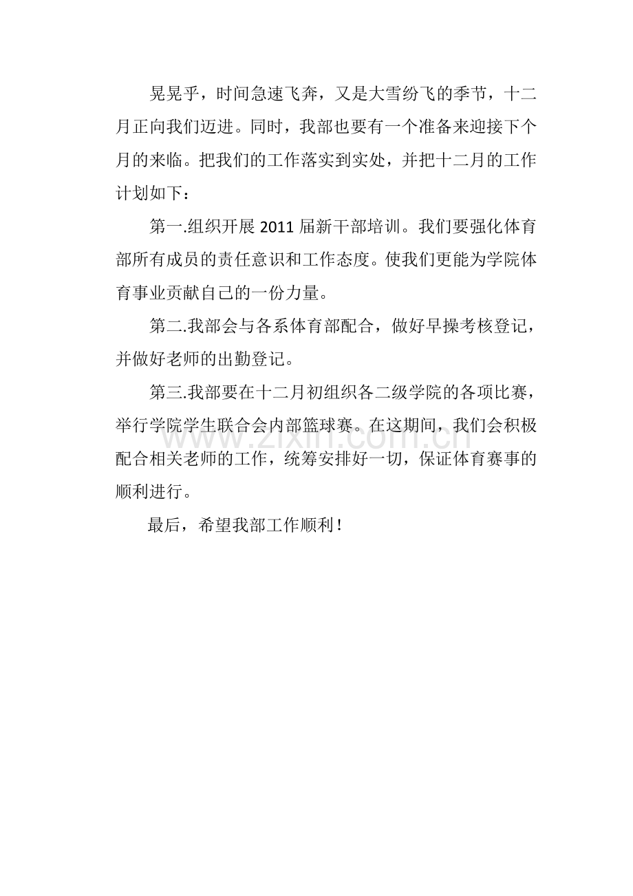 体育部十二计划.doc_第2页