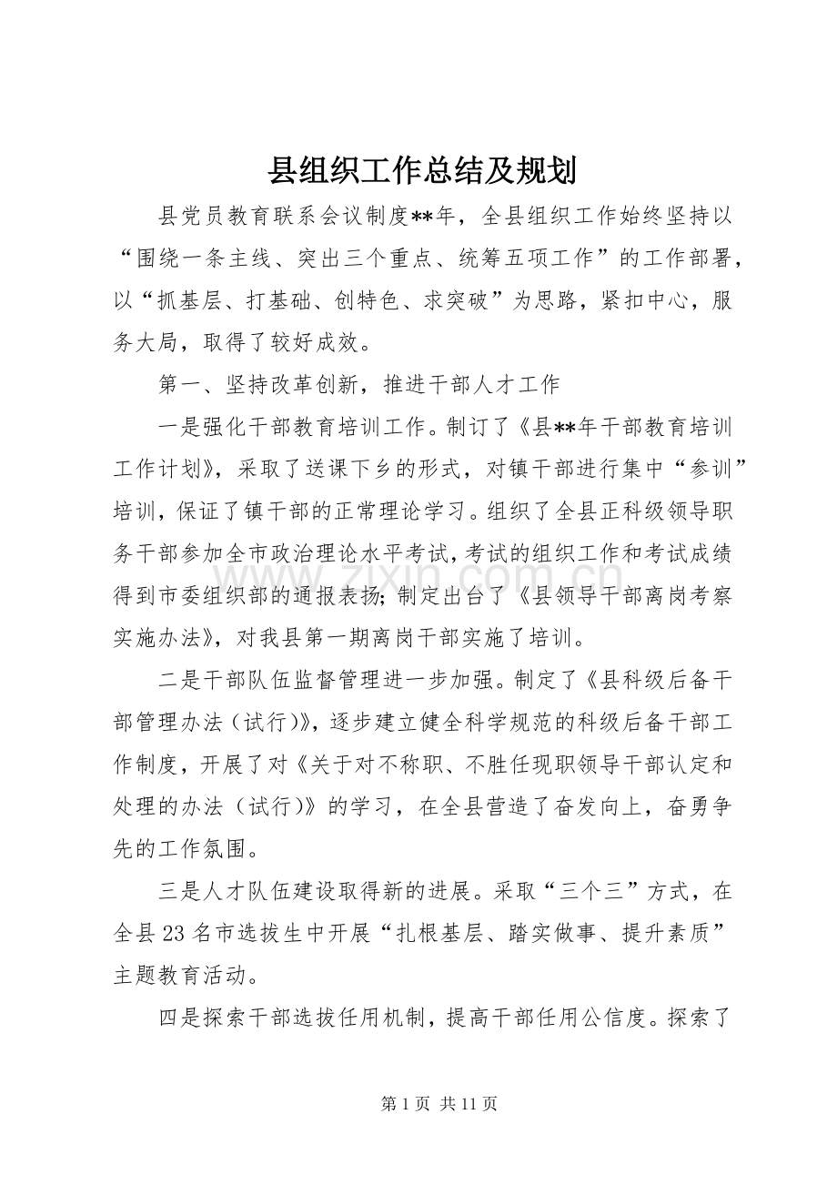 县组织工作总结及规划.docx_第1页