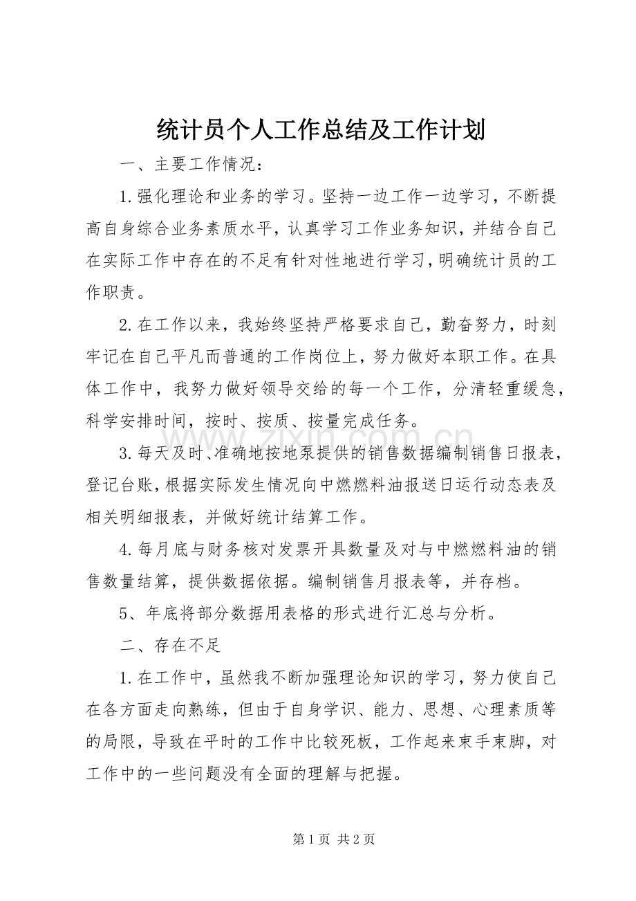 统计员个人工作总结及工作计划.docx_第1页