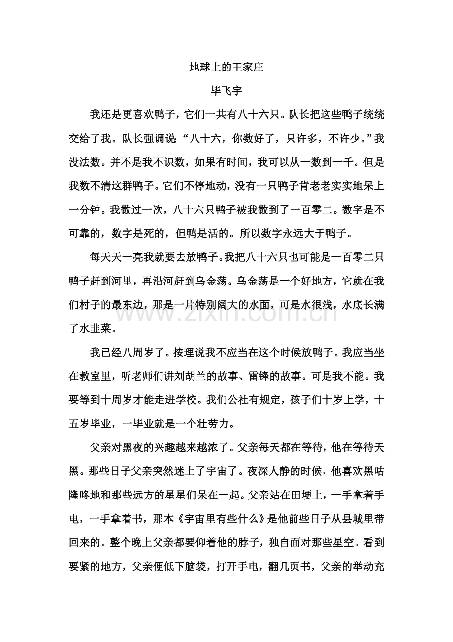 地球上的王家庄.doc_第1页