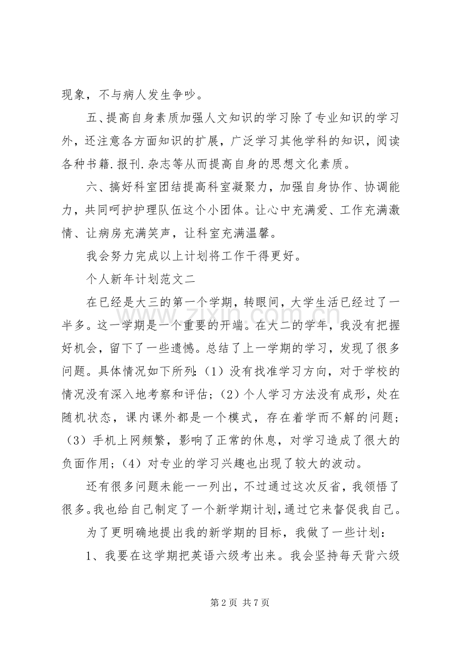 20XX年个人新年计划.docx_第2页