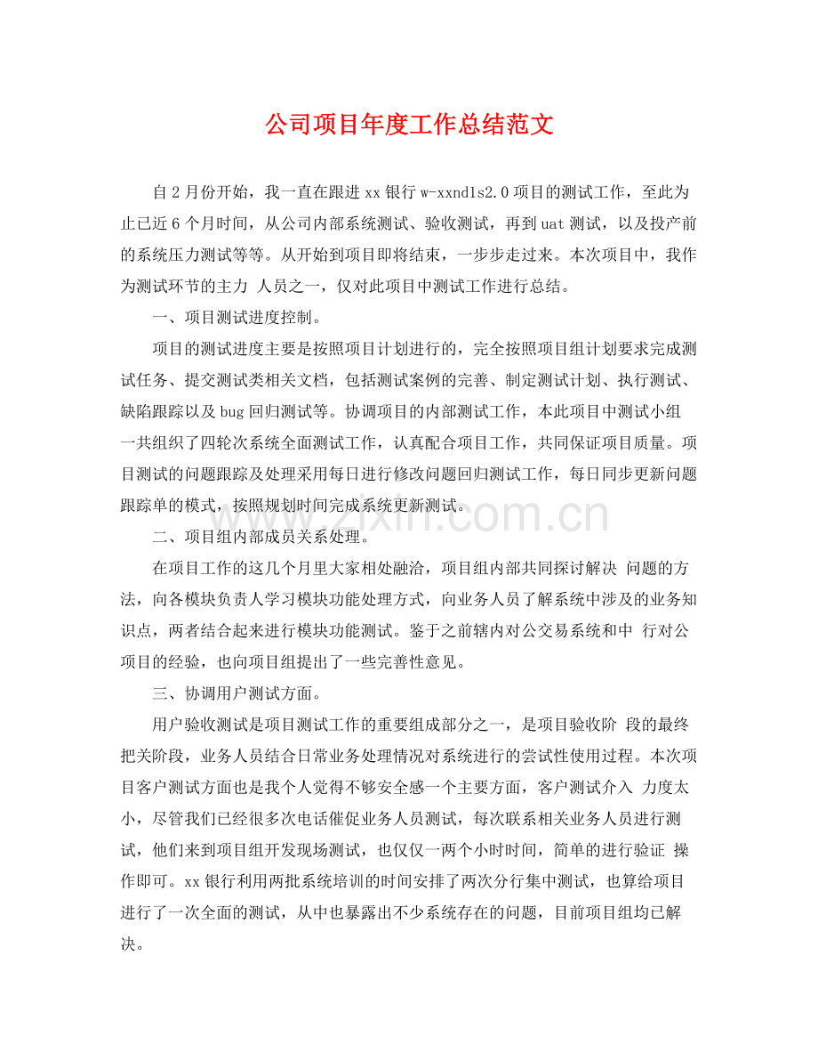 公司项目年度工作总结范文 .docx_第1页