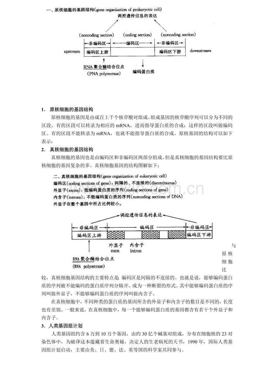 高三生物012.doc_第2页