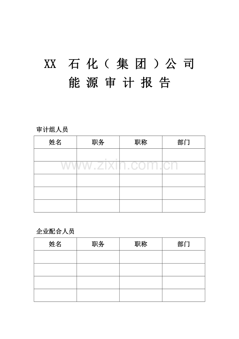 石化行业能源审计报告.doc_第1页