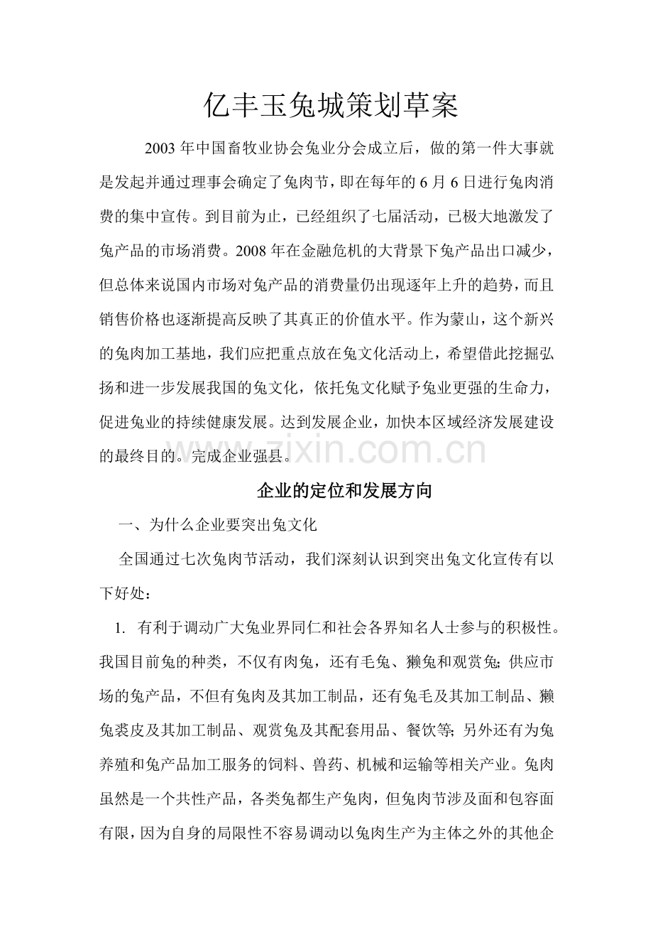 亿丰玉兔城策划案.doc_第1页
