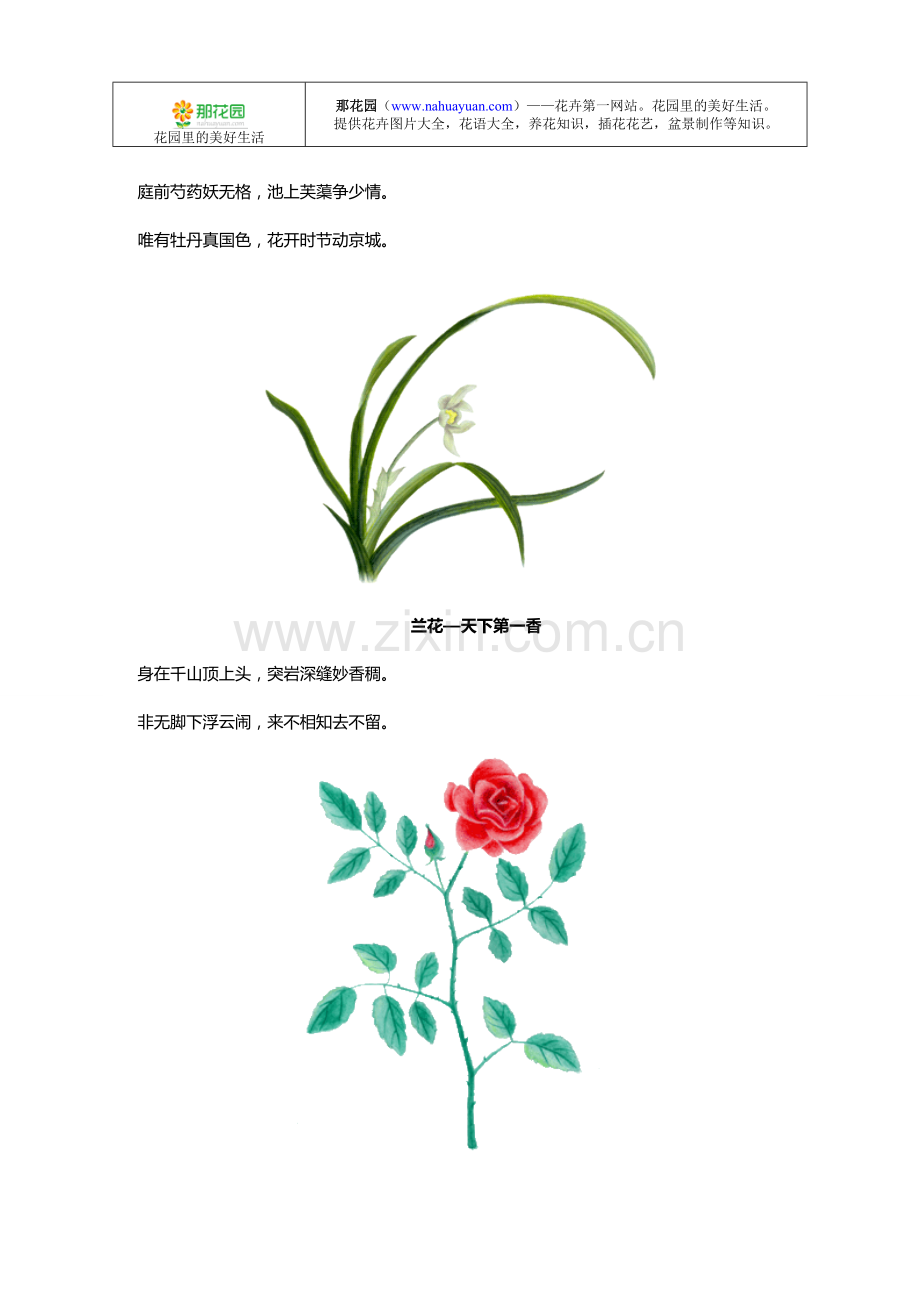 中国十大名花花诗欣赏.doc_第2页