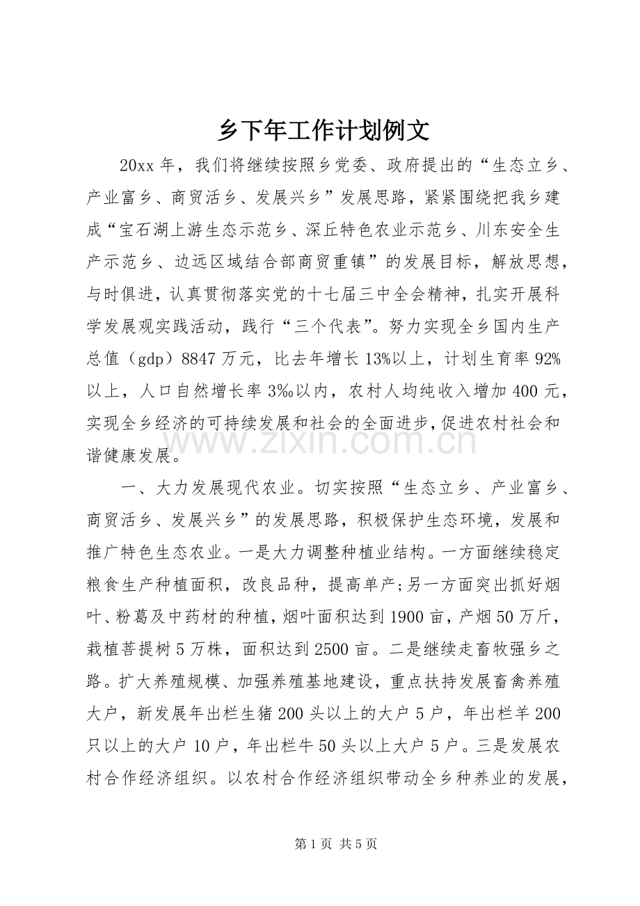 乡下年工作计划例文.docx_第1页