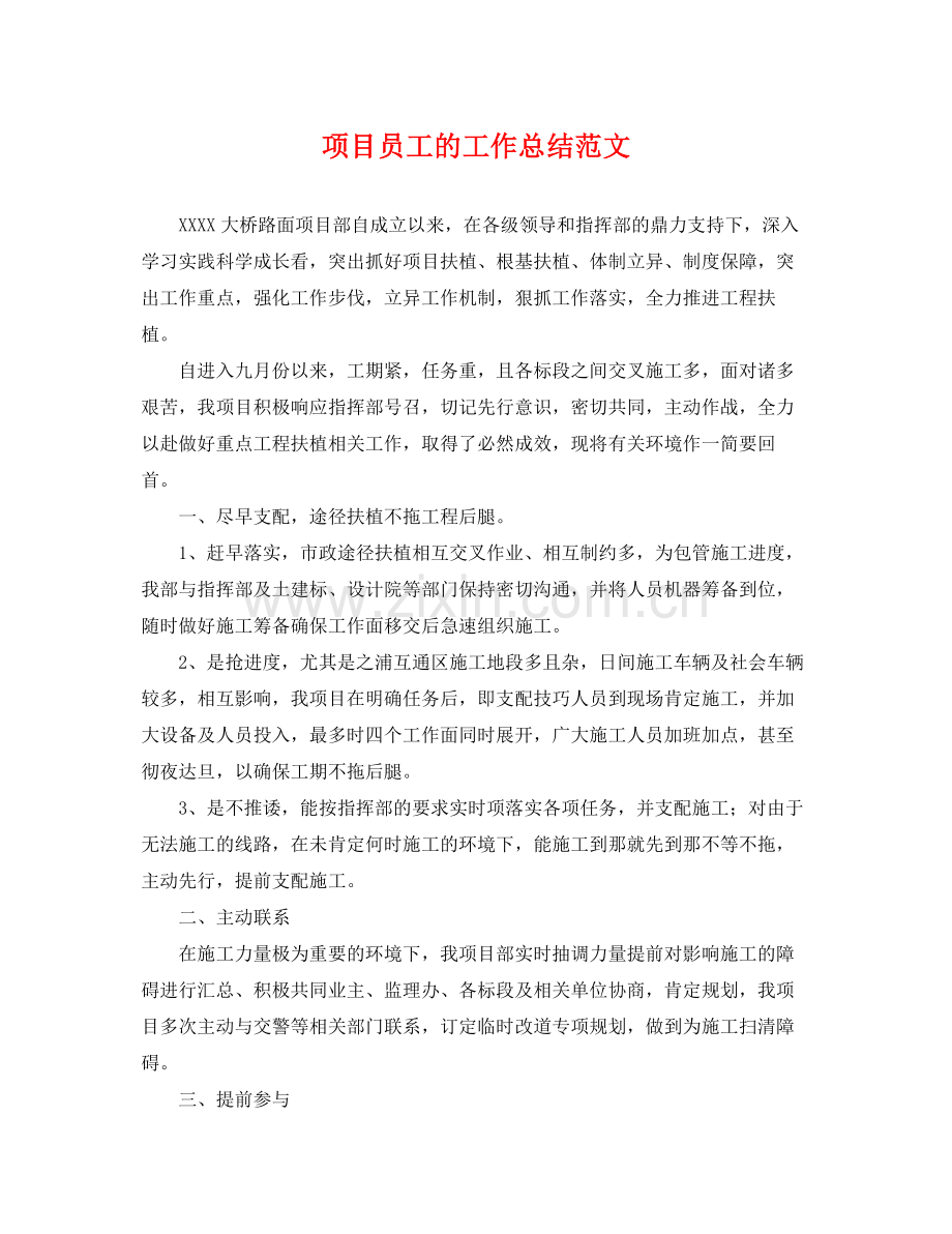 项目员工的工作总结范文 .docx_第1页