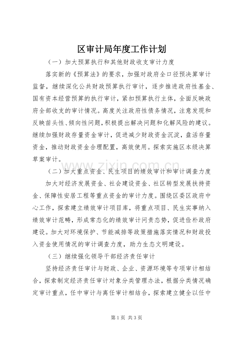 区审计局年度工作计划.docx_第1页