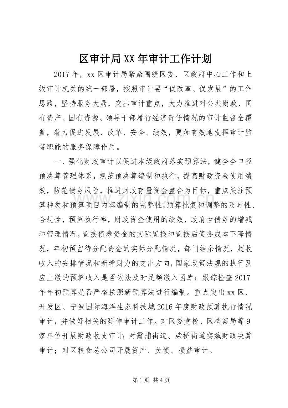 区审计局XX年审计工作计划.docx_第1页
