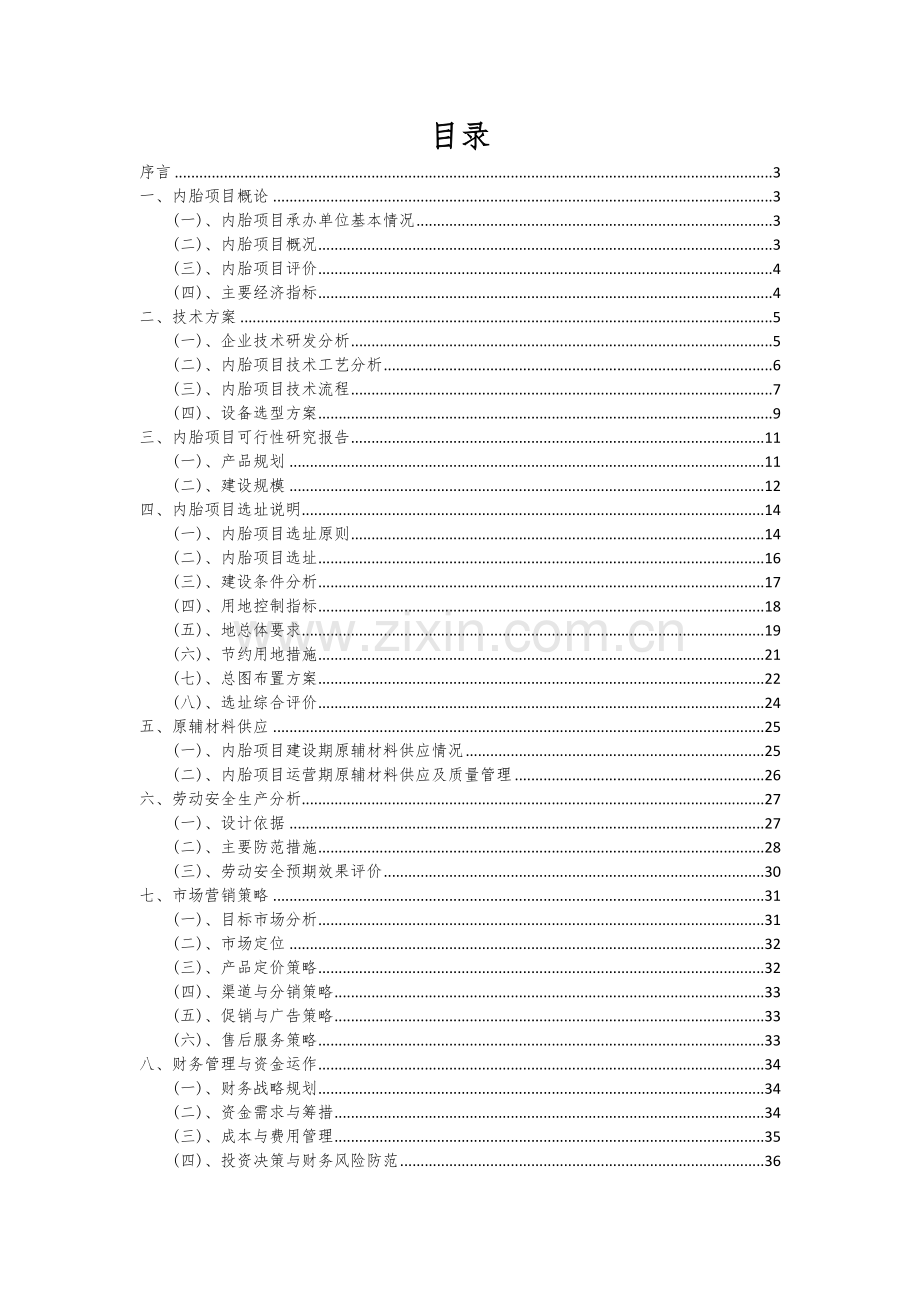 内胎项目深度研究分析报告.docx_第2页