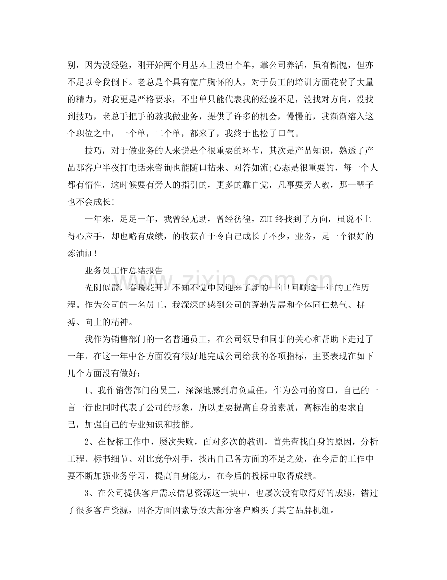 业务员工作总结报告范文5篇 .docx_第2页