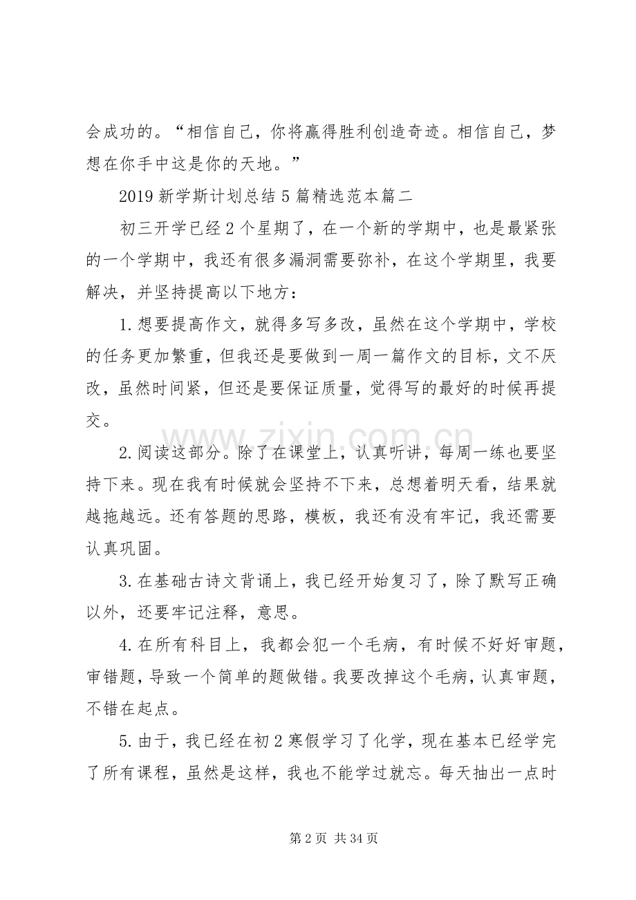 20XX年新学斯计划总结范本.docx_第2页