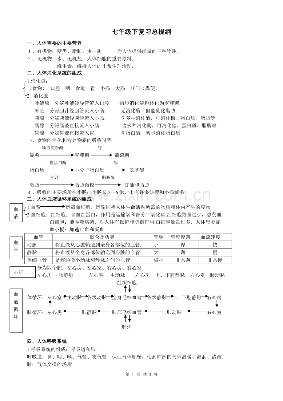 七年级下册复习提纲.doc_第1页
