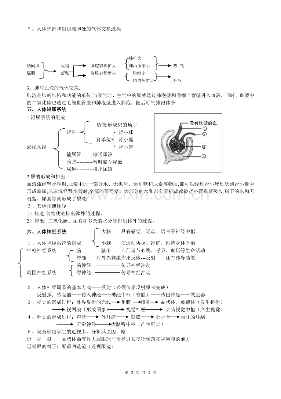 七年级下册复习提纲.doc_第2页