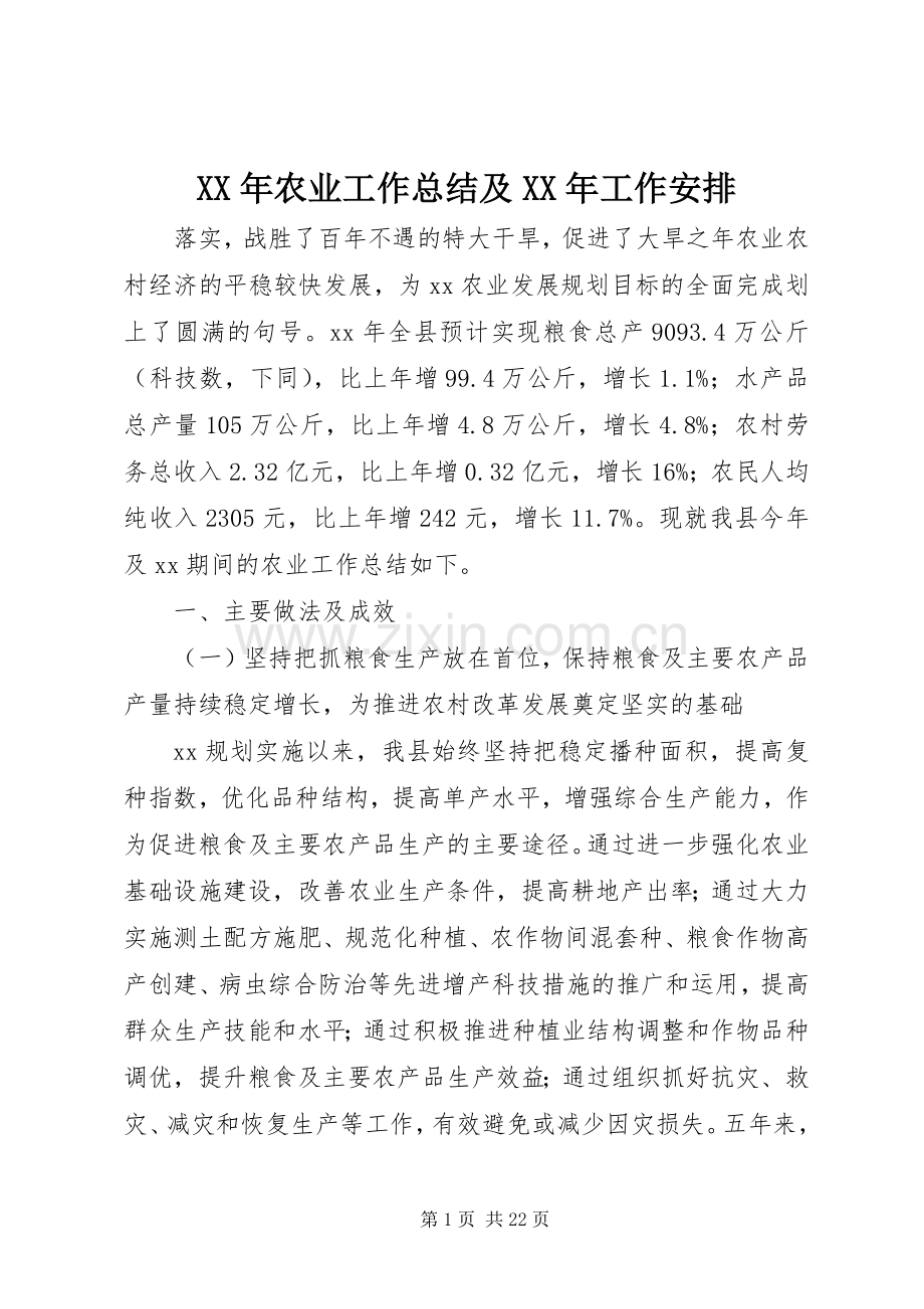 XX年农业工作总结及XX年工作安排 .docx_第1页