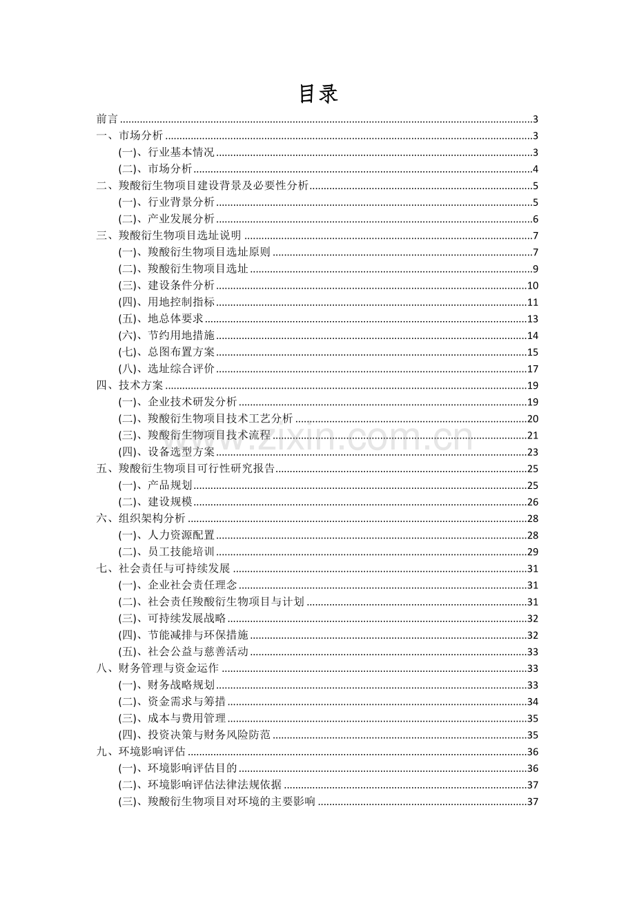 羧酸衍生物项目可行性分析报告.docx_第2页