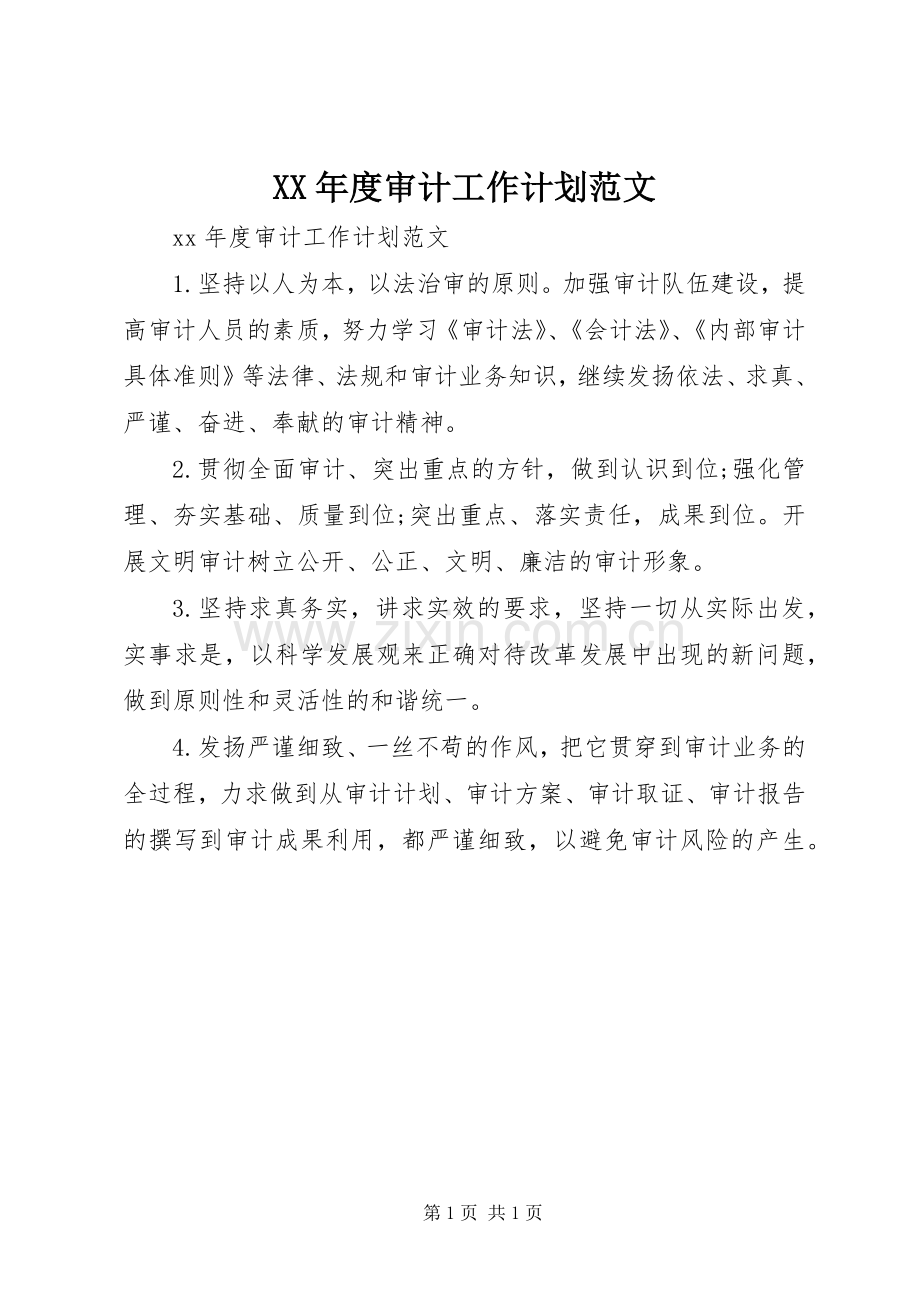 XX年度审计工作计划范文.docx_第1页