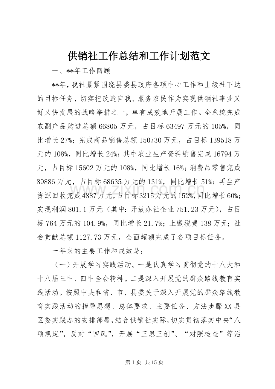 供销社工作总结和工作计划范文.docx_第1页
