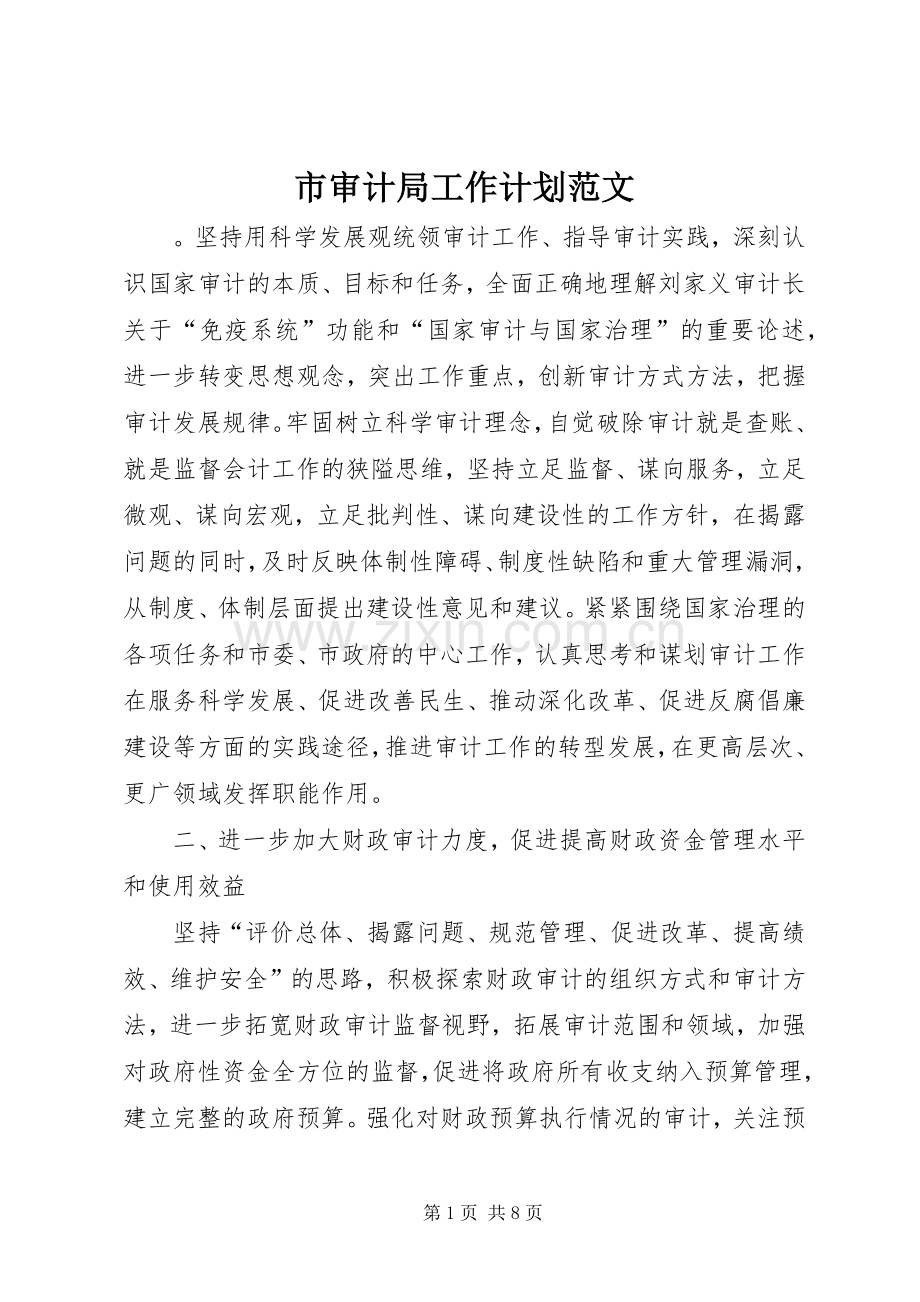 市审计局工作计划范文 .docx_第1页