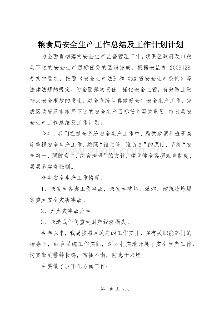 粮食局安全生产工作总结及工作计划计划.docx_第1页