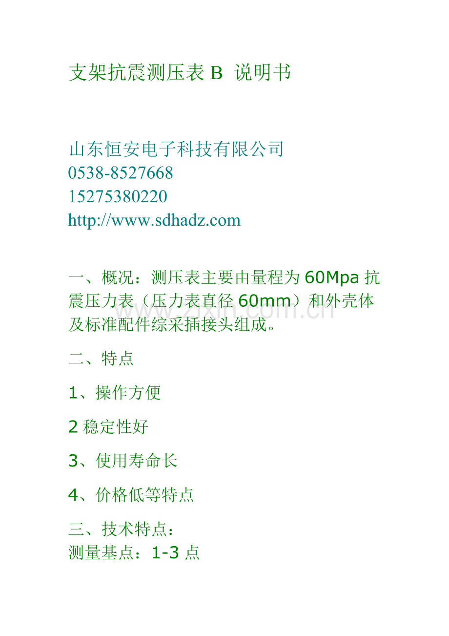 支架抗震测压表B说明书.doc_第1页