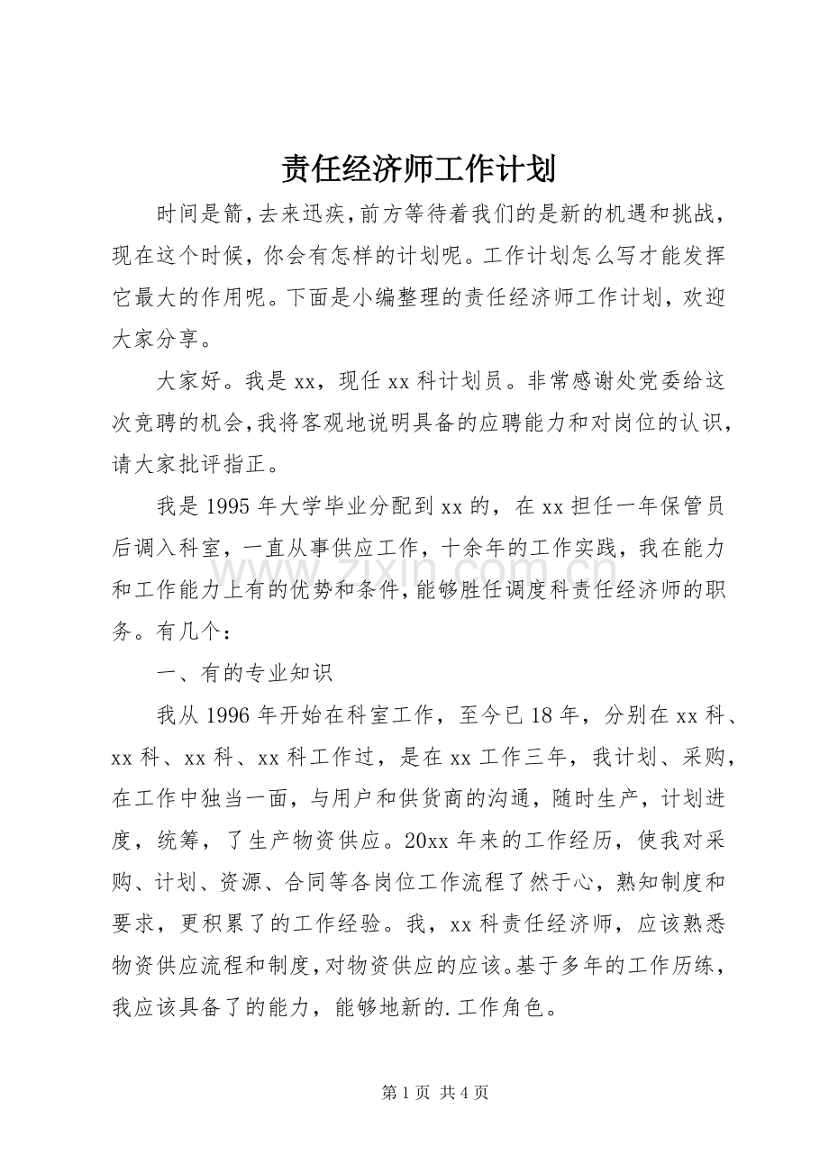 责任经济师工作计划.docx_第1页