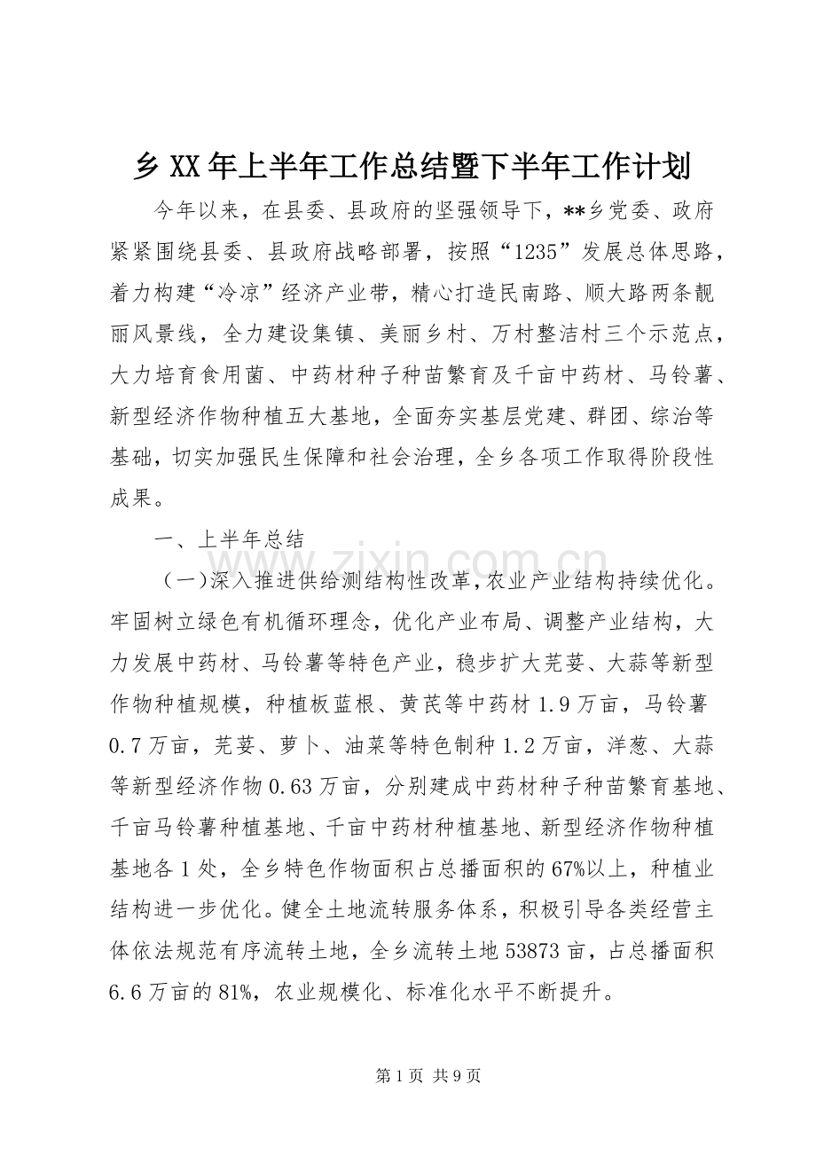 乡XX年上半年工作总结暨下半年工作计划.docx_第1页