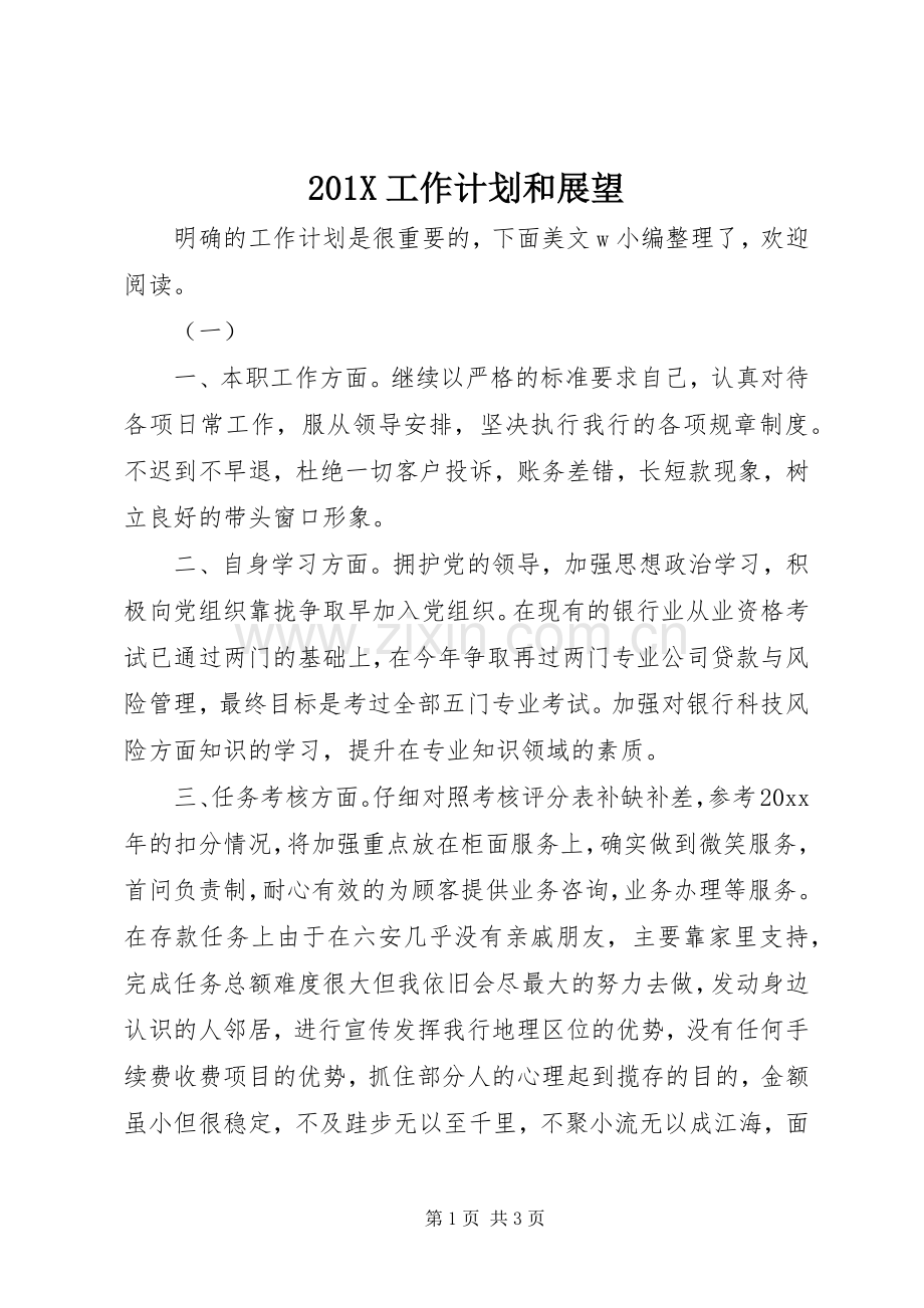 201X工作计划和展望.docx_第1页