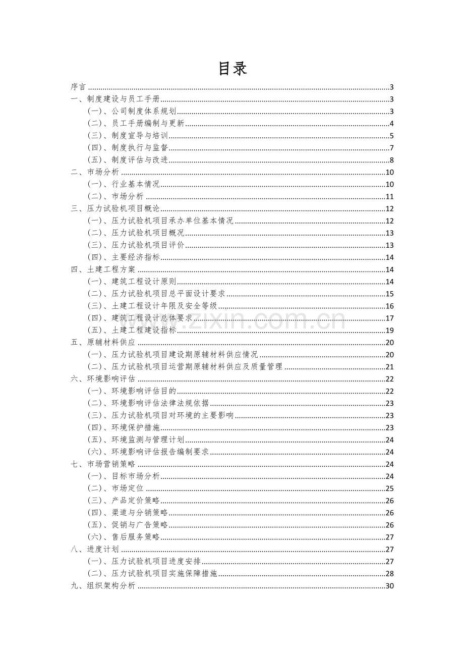 压力试验机项目可行性研究报告.docx_第2页
