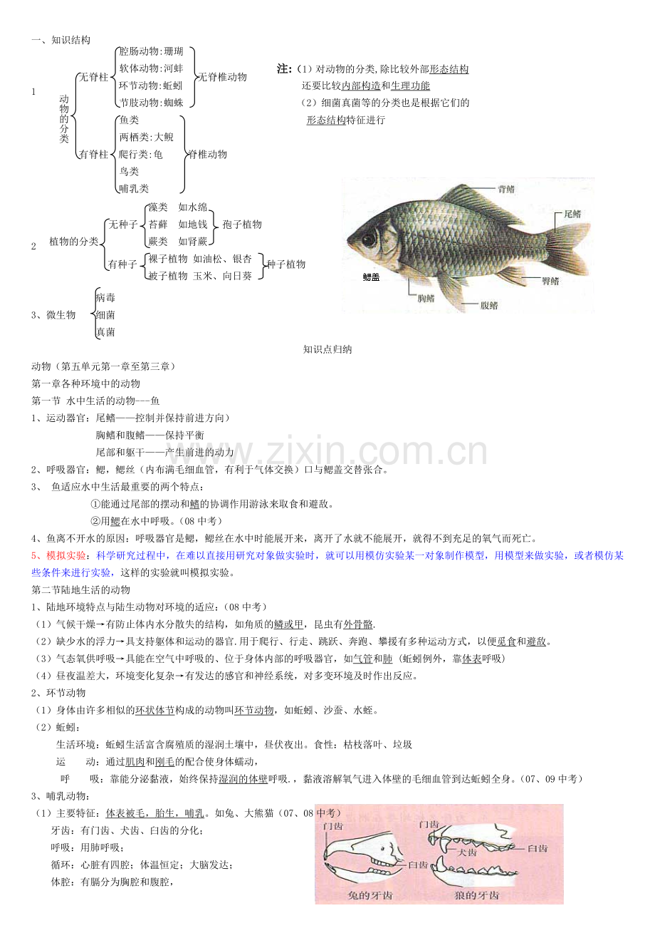 新人教八年级生物上册复习提纲.doc_第1页