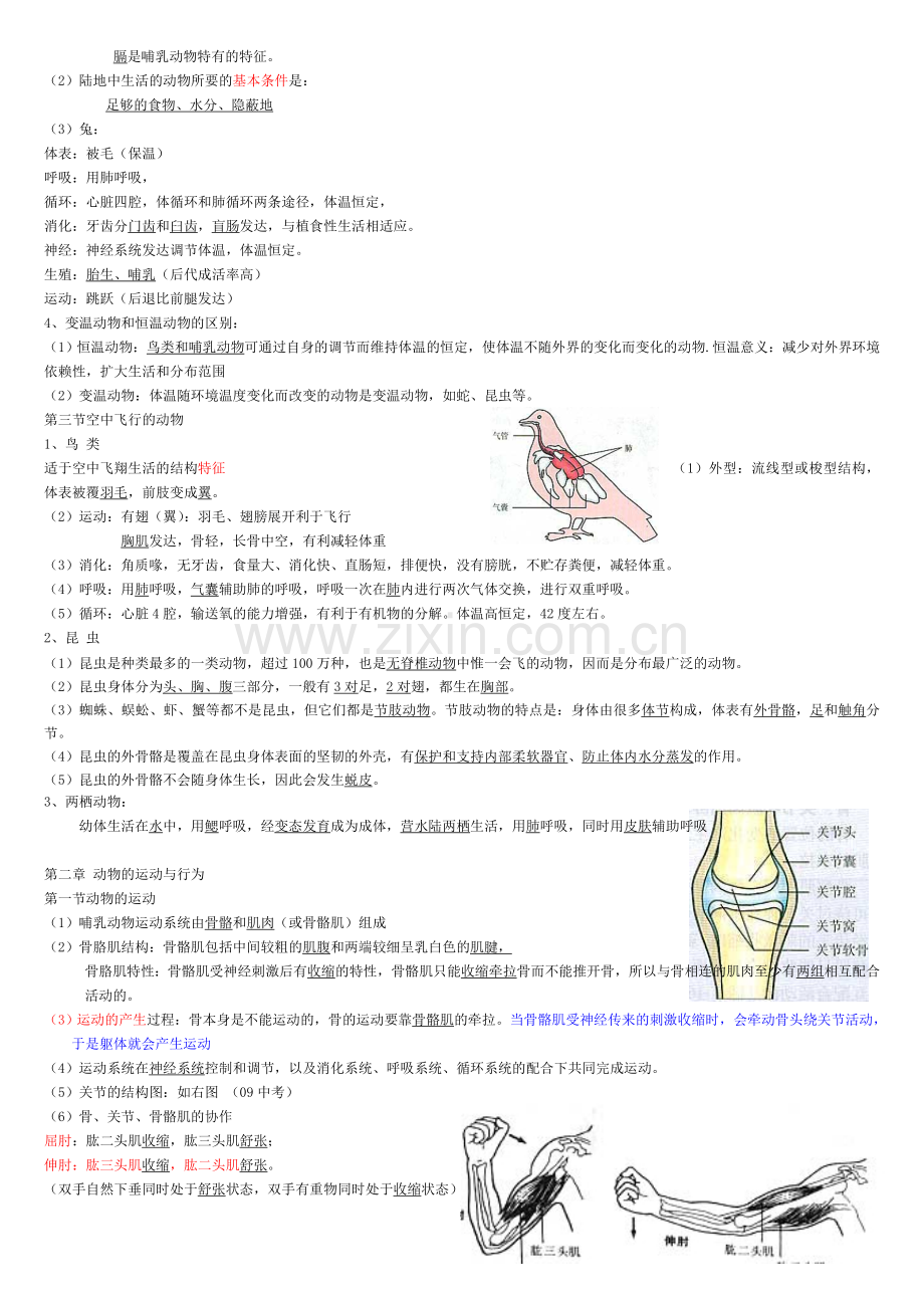 新人教八年级生物上册复习提纲.doc_第2页