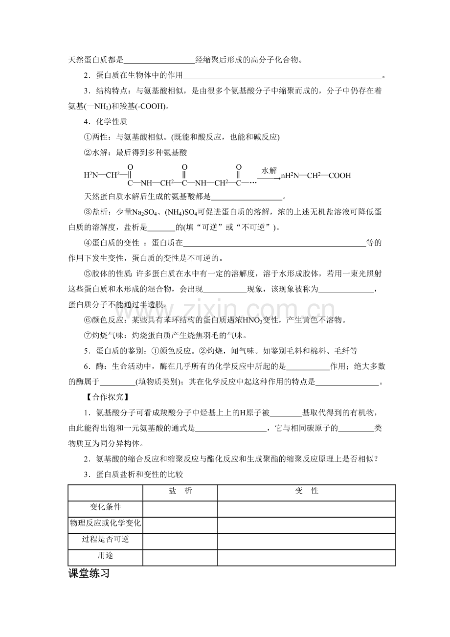 《氨基酸-蛋白质-核酸》导学案3.doc_第2页