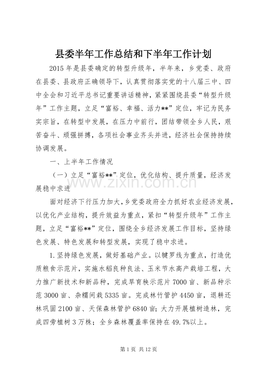 县委半年工作总结和下半年工作计划.docx_第1页
