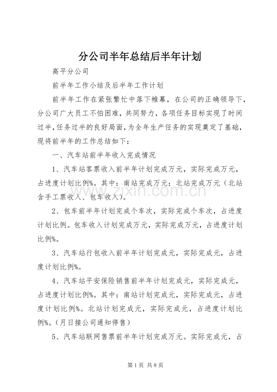 分公司半年总结后半年计划.docx_第1页