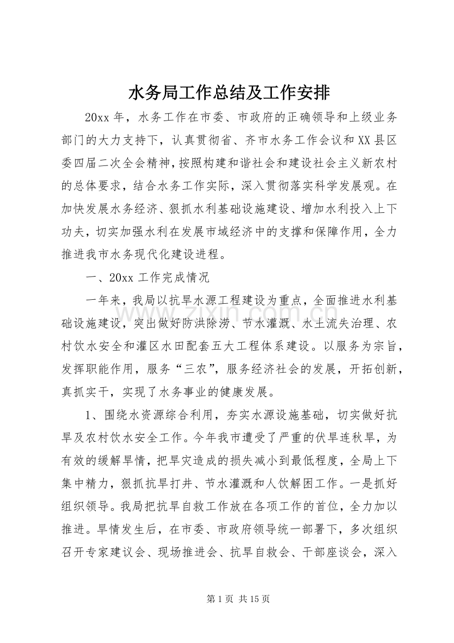 水务局工作总结及工作安排_1.docx_第1页
